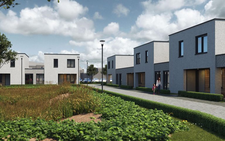 WEB-Franck-Vlassak-BV_2